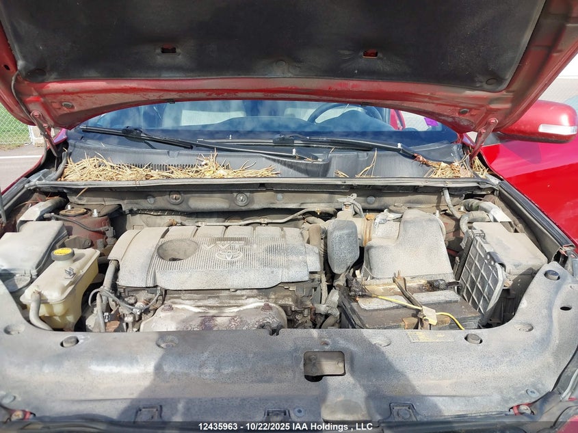 2010 Toyota Rav4 VIN: 2T3BF4DV6AW039421 Lot: 12435963