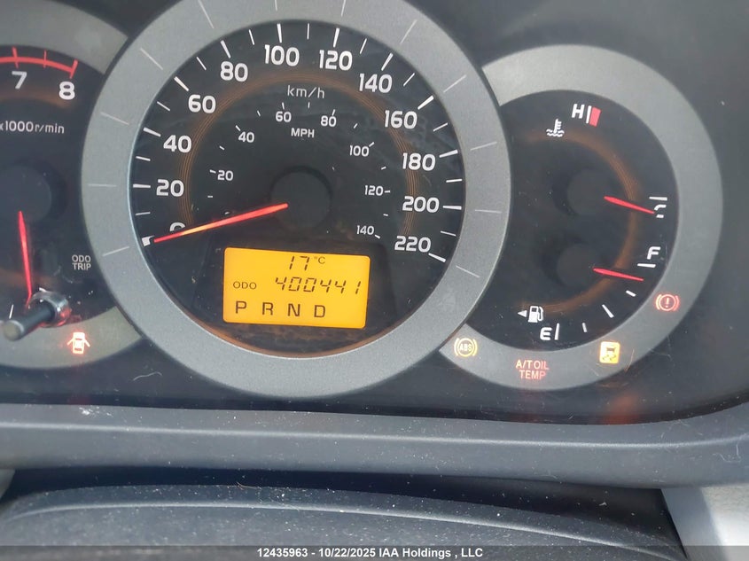 2010 Toyota Rav4 VIN: 2T3BF4DV6AW039421 Lot: 12435963