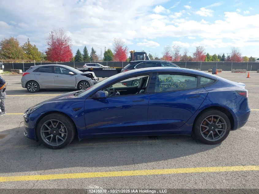 2021 Tesla Model 3 Standard Range/Standard Range Plus VIN: 5YJ3E1EA1MF016365 Lot: 12435970