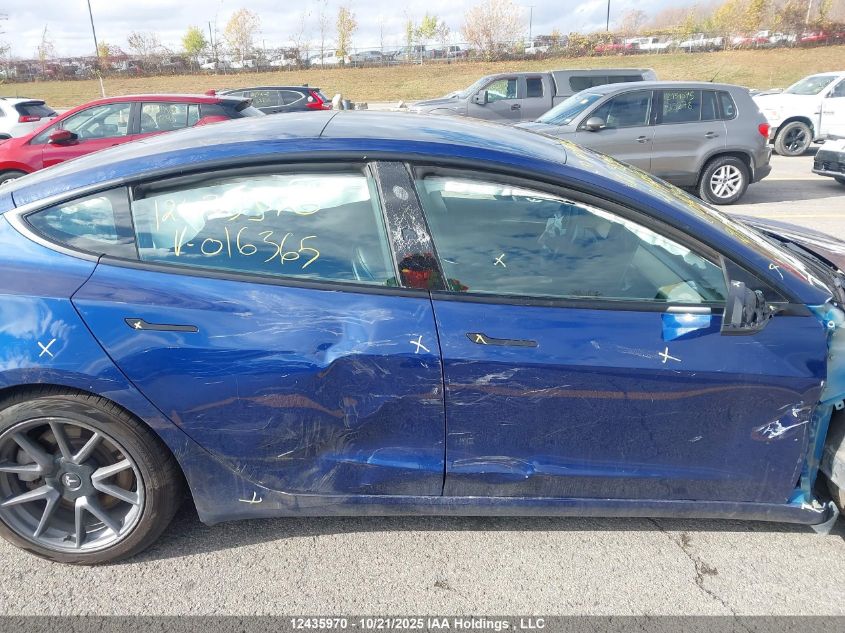 2021 Tesla Model 3 Standard Range/Standard Range Plus VIN: 5YJ3E1EA1MF016365 Lot: 12435970