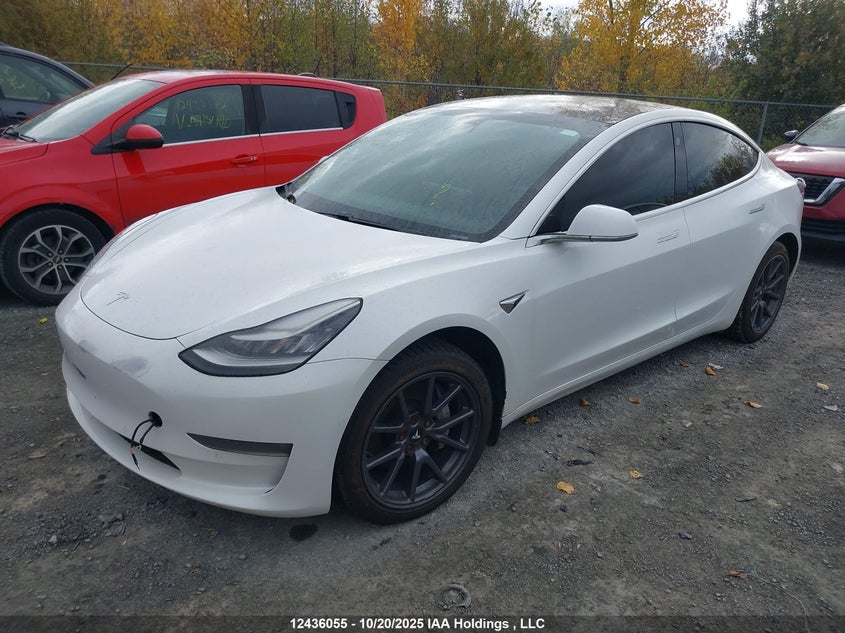 5YJ3E1EB0LF626510 2020 TESLA MODEL 3 photo no. 2