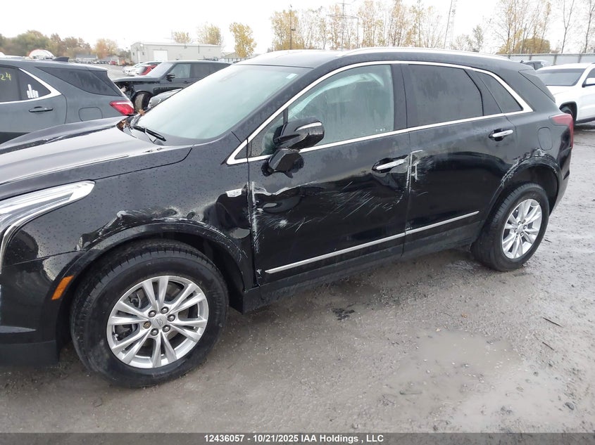 2024 Cadillac Xt5 Luxury VIN: 1GYKNBR41RZ739201 Lot: 12436057