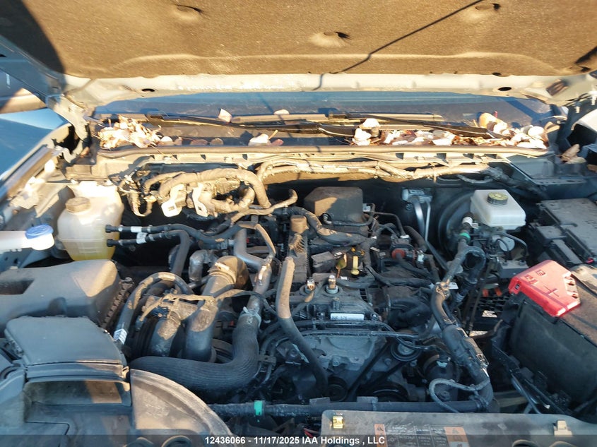 1FTER4HH9RLE54224 2024 FORD RANGER photo no. 10
