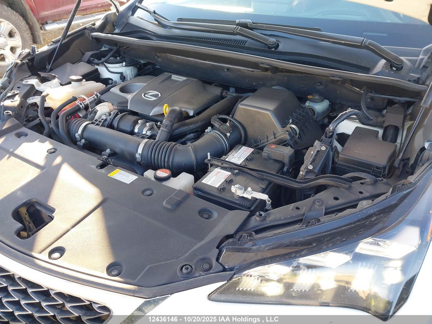 JTJBARBZ0G2077680 2016 LEXUS NX photo no. 10