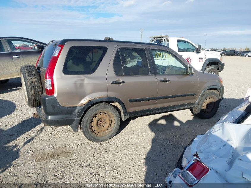 2005 Honda Cr-V Ex VIN: JHLRD78865C804858 Lot: 12436151