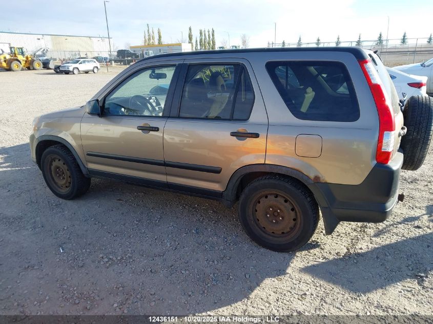 2005 Honda Cr-V Ex VIN: JHLRD78865C804858 Lot: 12436151