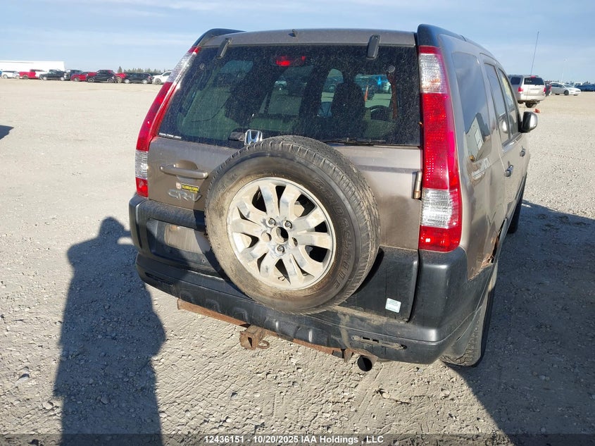 2005 Honda Cr-V Ex VIN: JHLRD78865C804858 Lot: 12436151