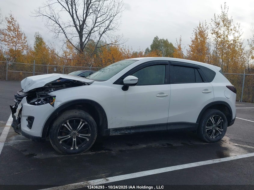 2016 Mazda Cx-5 Gs VIN: JM3KE4CY6G0800483 Lot: 12436293