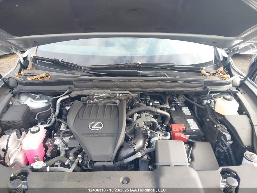 2023 Lexus Rx 350 VIN: 2T2BAMCA0PC037028 Lot: 12436310