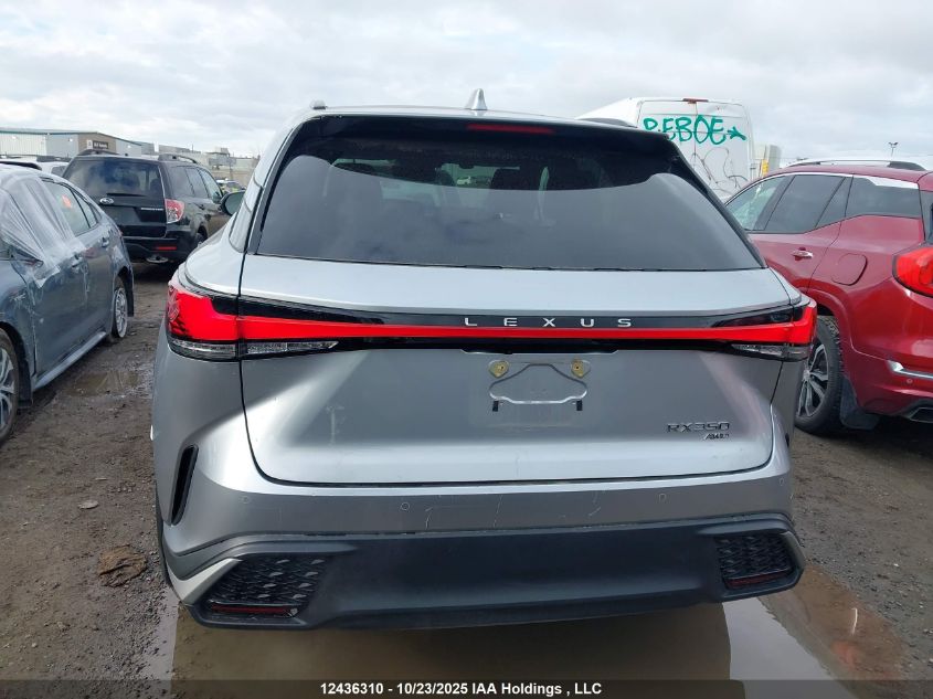 2023 Lexus Rx 350 VIN: 2T2BAMCA0PC037028 Lot: 12436310