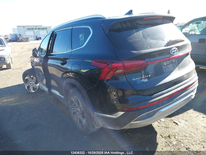 5NMS3DAJ2PH501920 2023 HYUNDAI SANTA FE photo no. 3