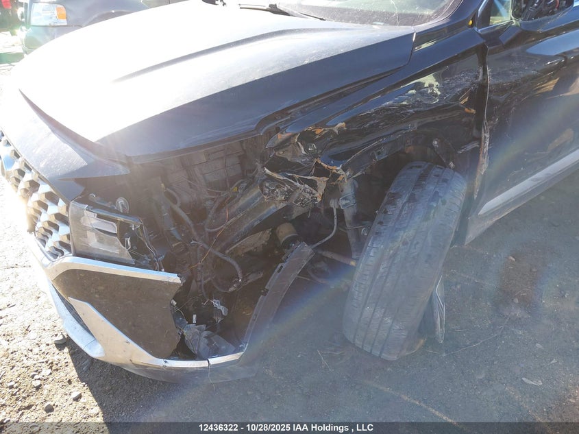 5NMS3DAJ2PH501920 2023 HYUNDAI SANTA FE photo no. 6