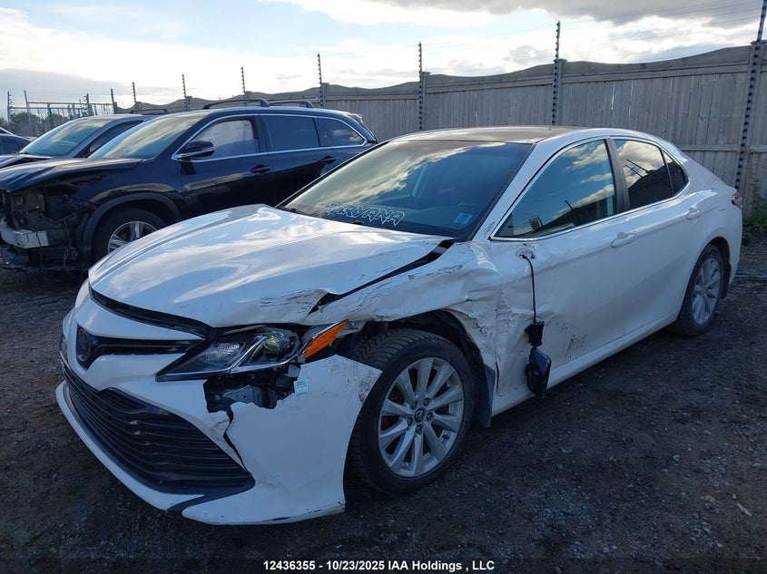 4T1B11HK1KU736504 2019 TOYOTA CAMRY photo no. 6