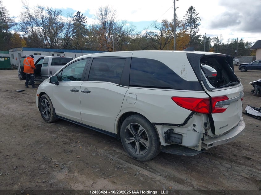 5FNRL6H68KB511924 2019 HONDA ODYSSEY photo no. 3