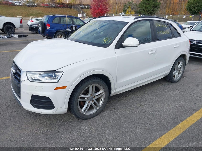 2016 Audi Q3 VIN: WA1EFCFS0GR016682 Lot: 12436460
