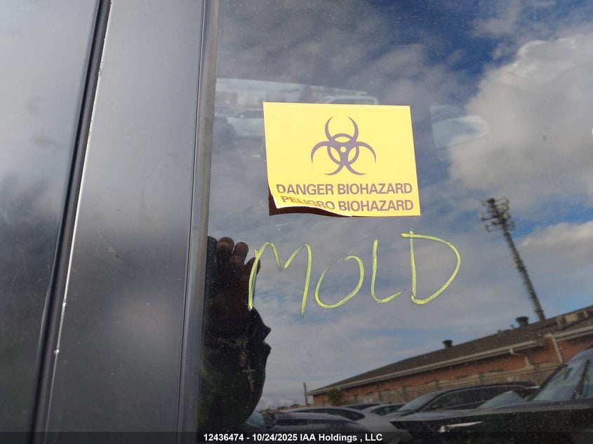 2008 Nissan Rogue S/Sl VIN: JN8AS58V38W407643 Lot: 12436474