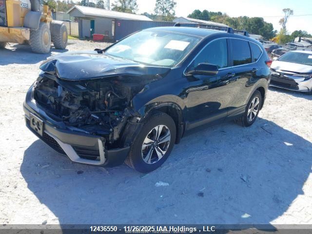 2022 Honda Cr-V Lx VIN: 2HKRW2H24NH223420 Lot: 12436550