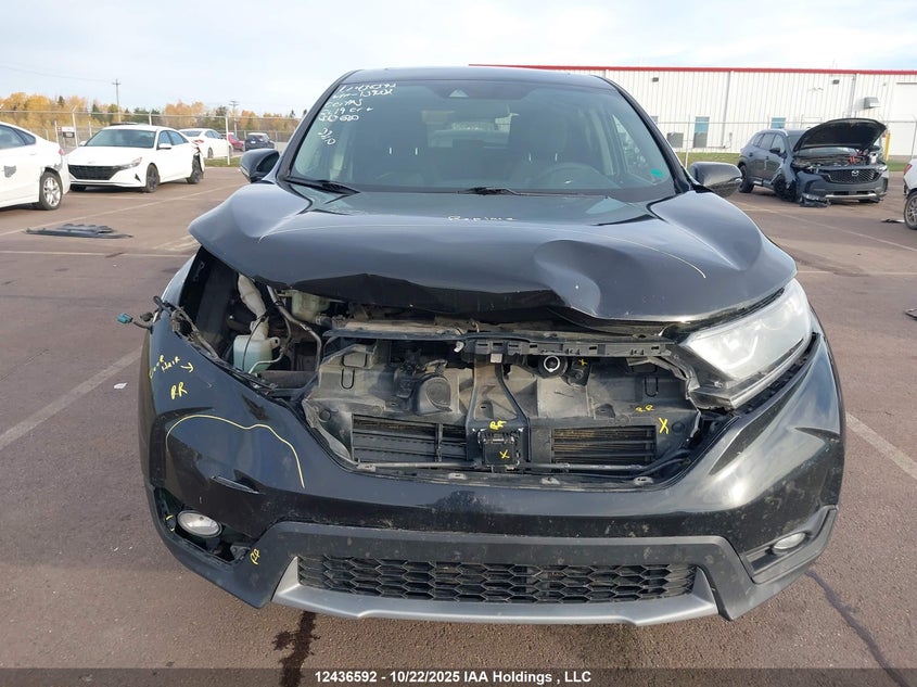 2019 Honda Cr-V Ex VIN: 2HKRW2H55KH139032 Lot: 12436592