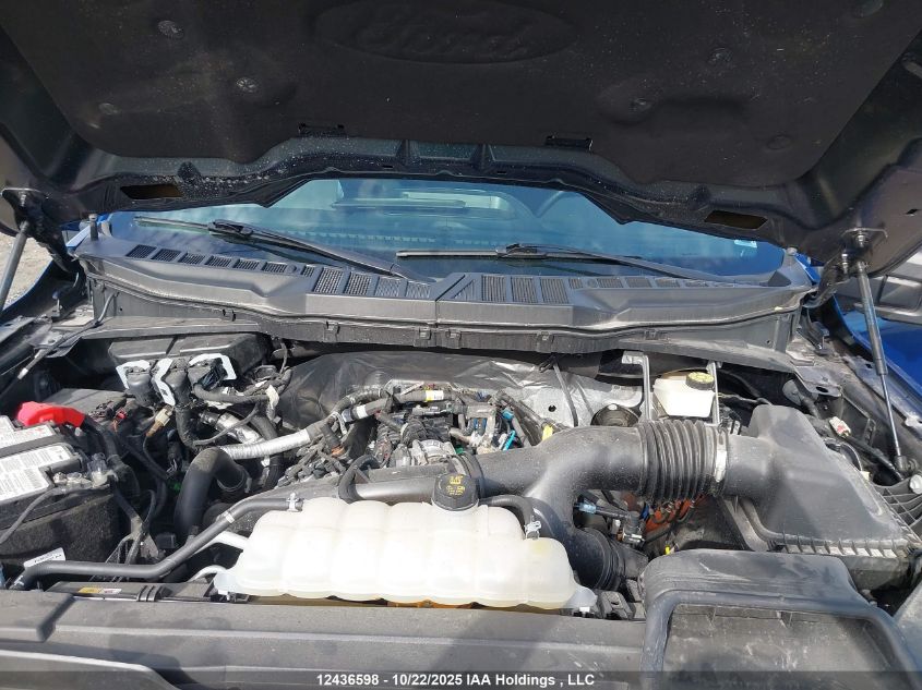 2023 Ford F-150 Xlt VIN: 1FTEW1EP6PKF51161 Lot: 12436598