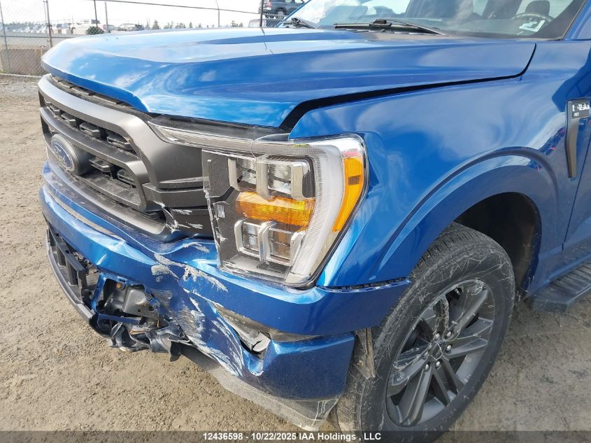 2023 Ford F-150 Xlt VIN: 1FTEW1EP6PKF51161 Lot: 12436598