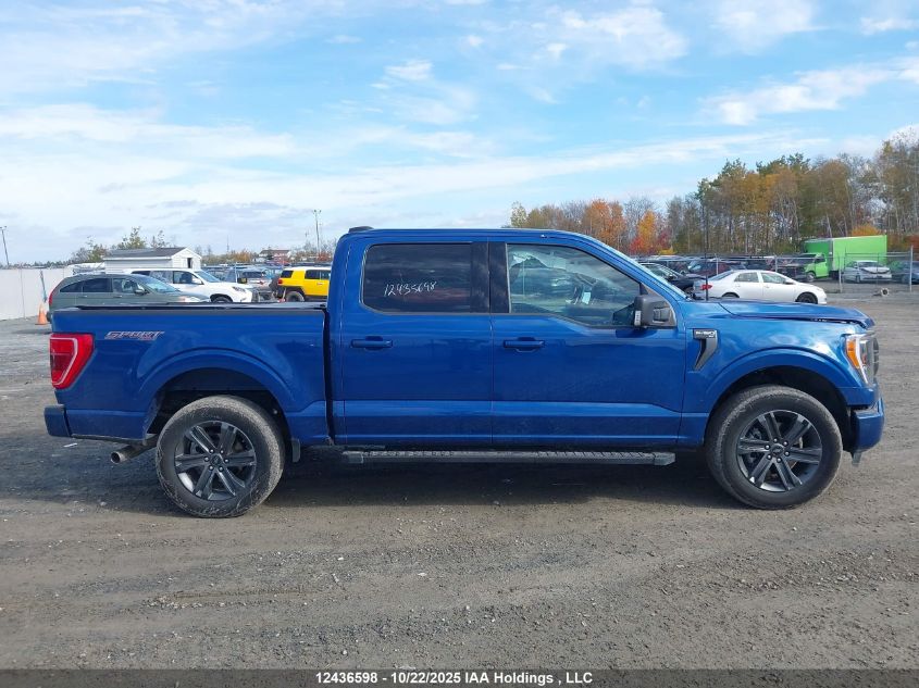 2023 Ford F-150 Xlt VIN: 1FTEW1EP6PKF51161 Lot: 12436598
