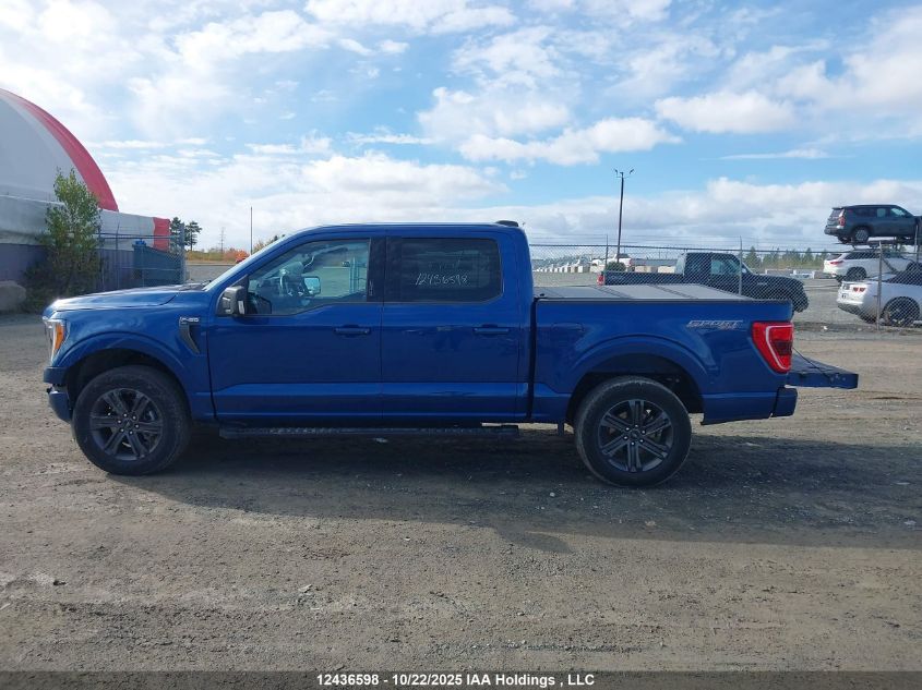 2023 Ford F-150 Xlt VIN: 1FTEW1EP6PKF51161 Lot: 12436598