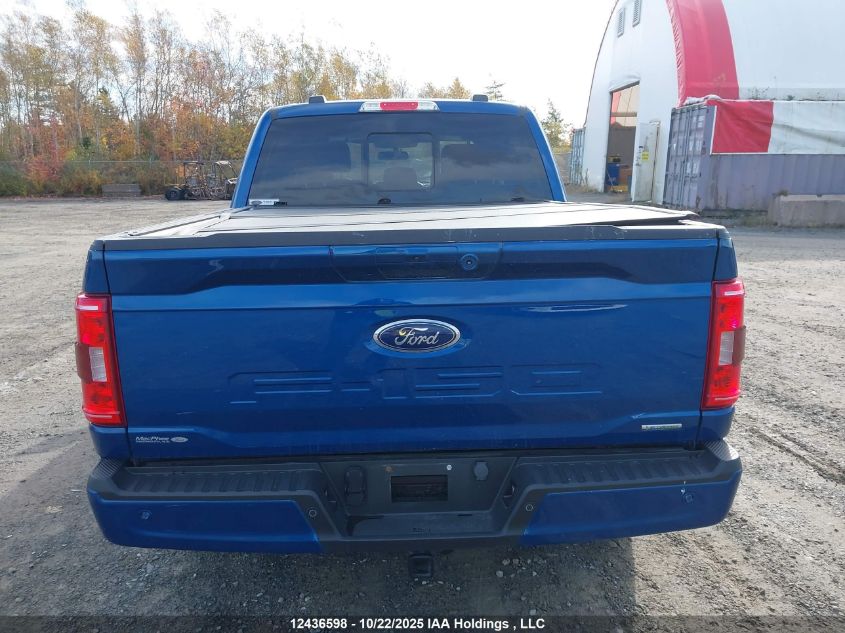 2023 Ford F-150 Xlt VIN: 1FTEW1EP6PKF51161 Lot: 12436598