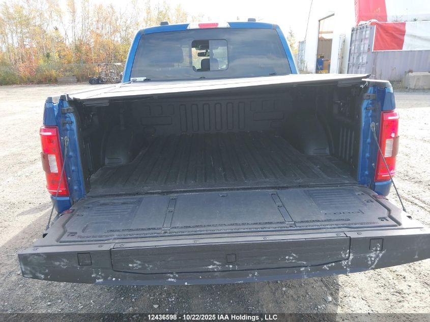 2023 Ford F-150 Xlt VIN: 1FTEW1EP6PKF51161 Lot: 12436598