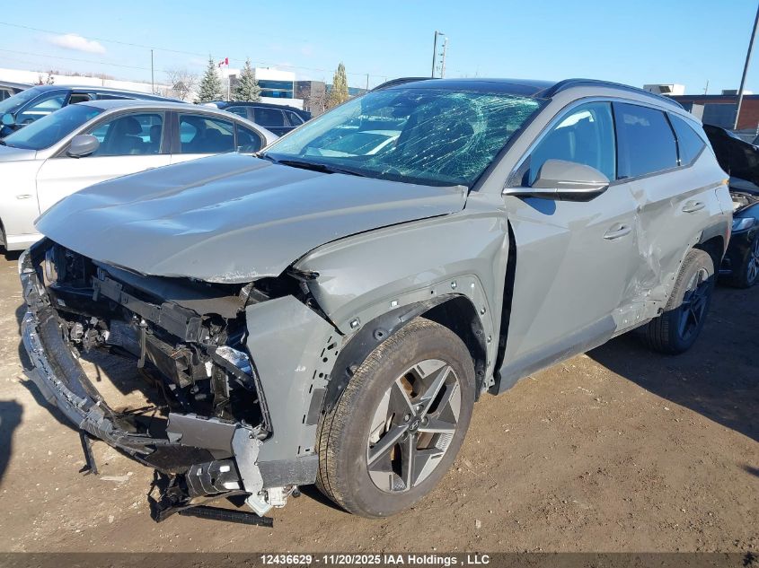 2025 Hyundai Tucson VIN: 5NMJCCDE1SH471337 Lot: 12436629