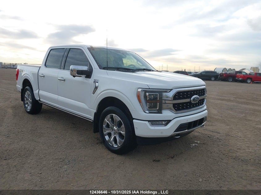 1FTFW1E85PFB13981 2023 FORD F-150 photo no. 12