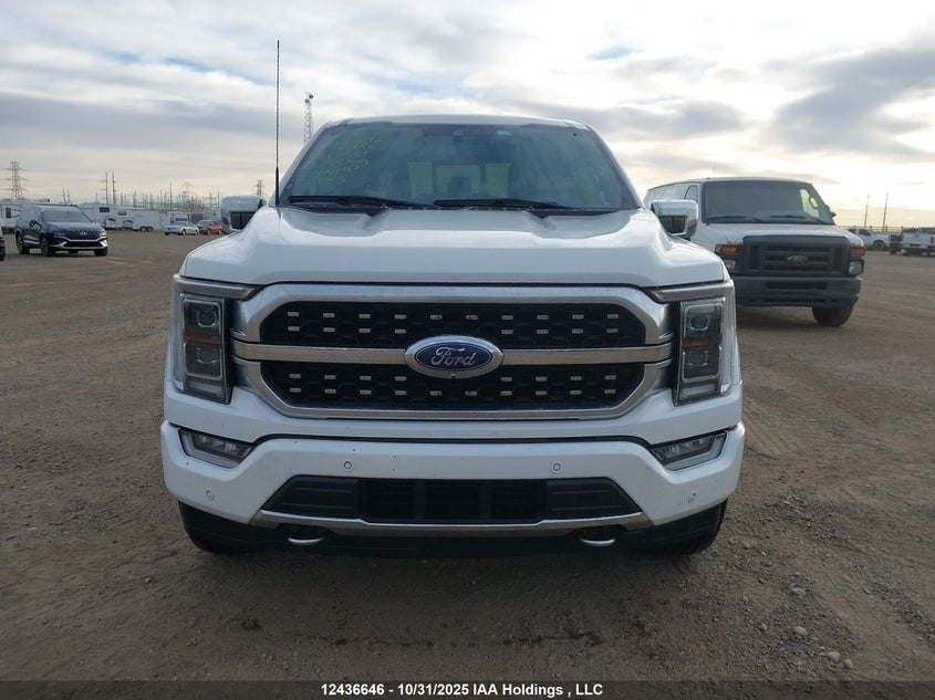 1FTFW1E85PFB13981 2023 FORD F-150 photo no. 13