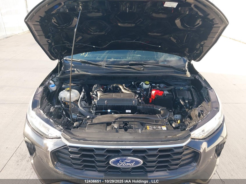 2023 Ford Escape St-Line VIN: 1FMCU9MN2PUA21541 Lot: 12436651