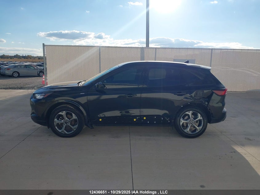 2023 Ford Escape St-Line VIN: 1FMCU9MN2PUA21541 Lot: 12436651