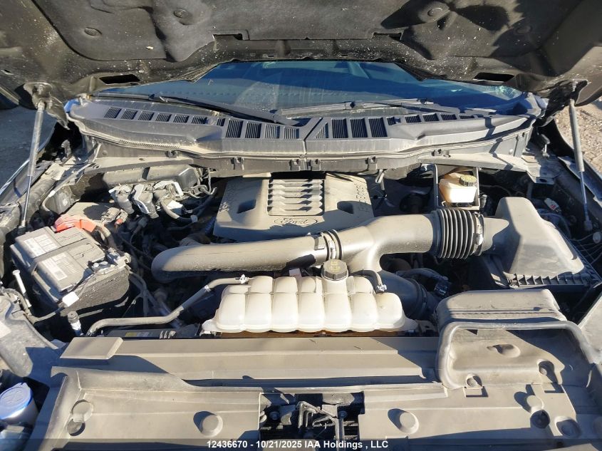 2021 Ford F-150 Platinum VIN: 1FTFW1E80MFC55571 Lot: 12436670