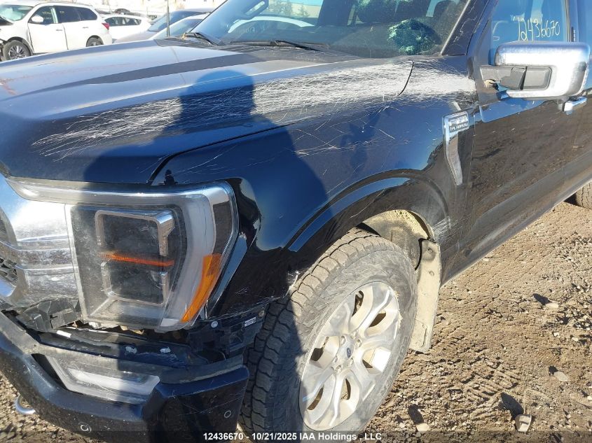 2021 Ford F-150 Platinum VIN: 1FTFW1E80MFC55571 Lot: 12436670