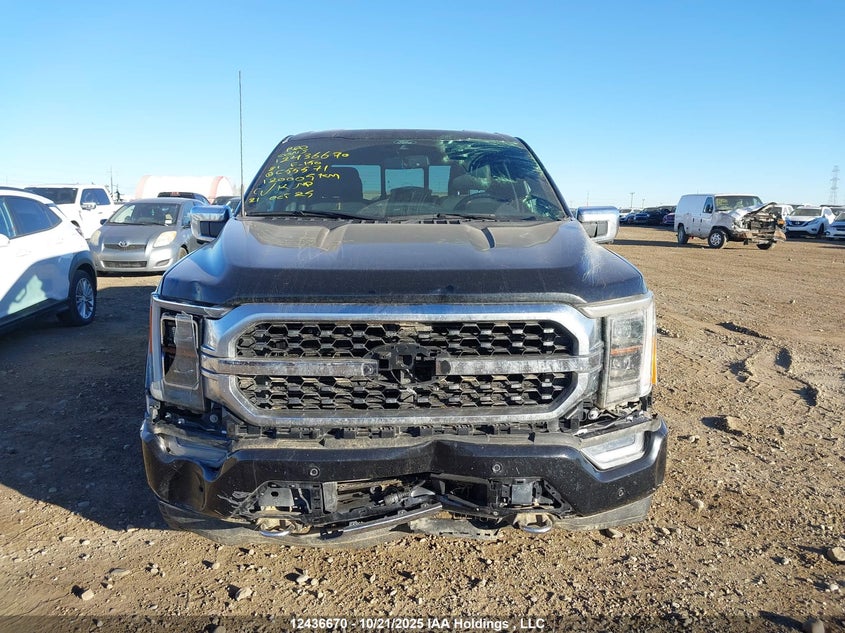 2021 Ford F-150 Platinum VIN: 1FTFW1E80MFC55571 Lot: 12436670