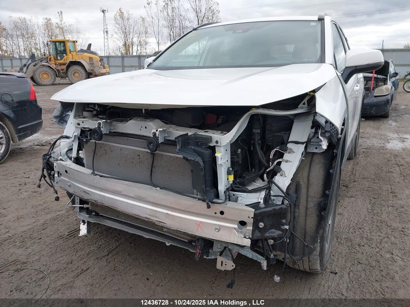2T3R1RFV2RC469466 2024 TOYOTA RAV 4 photo no. 6