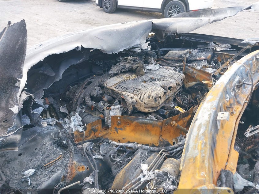 2009 Infiniti Ex35 Journey VIN: JNKAJ09F19M950820 Lot: 12436828