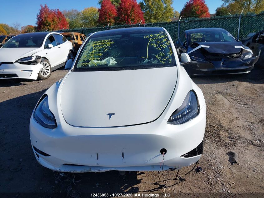 2021 Tesla Model Y Long Range VIN: 5YJYGDEE3MF267604 Lot: 12436853