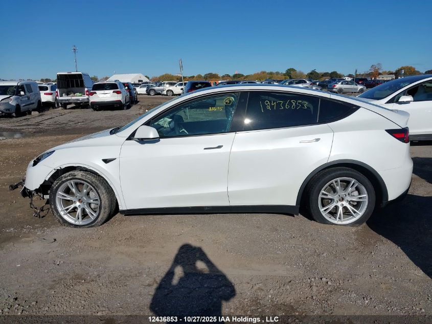 2021 Tesla Model Y Long Range VIN: 5YJYGDEE3MF267604 Lot: 12436853