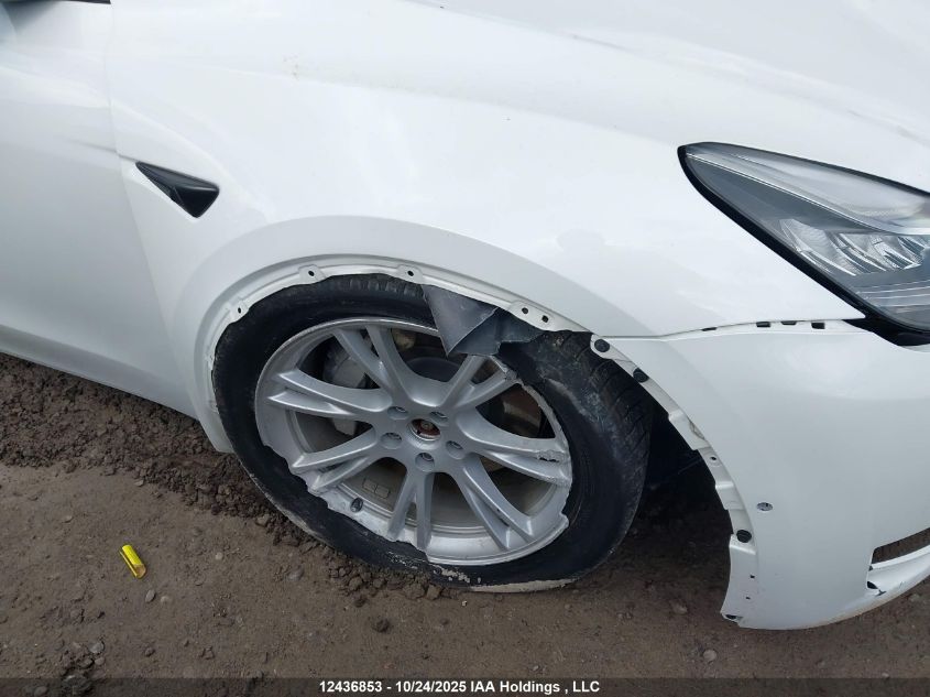 2021 Tesla Model Y Long Range VIN: 5YJYGDEE3MF267604 Lot: 12436853