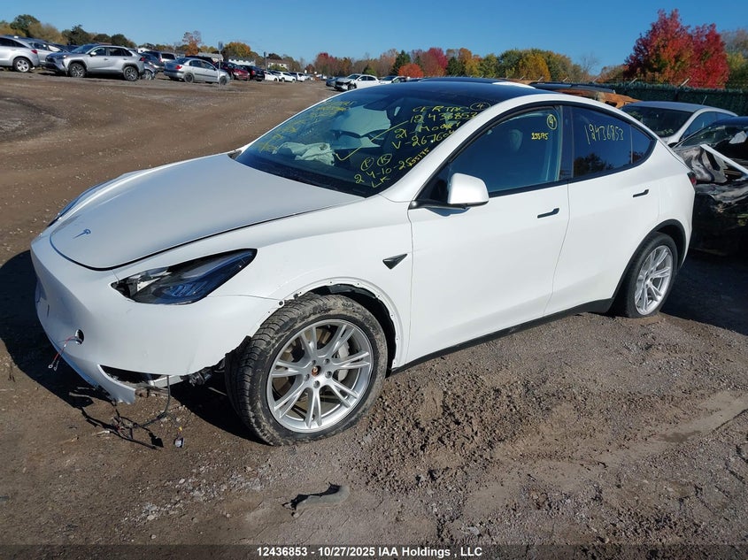 5YJYGDEE3MF267604 2021 TESLA MODEL Y photo no. 2