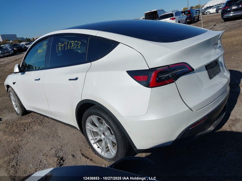 5YJYGDEE3MF267604 2021 TESLA MODEL Y photo no. 3