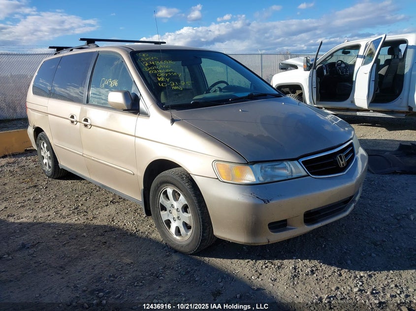 2HKRL18652H010980 2002 HONDA ODYSSEY photo no. 3