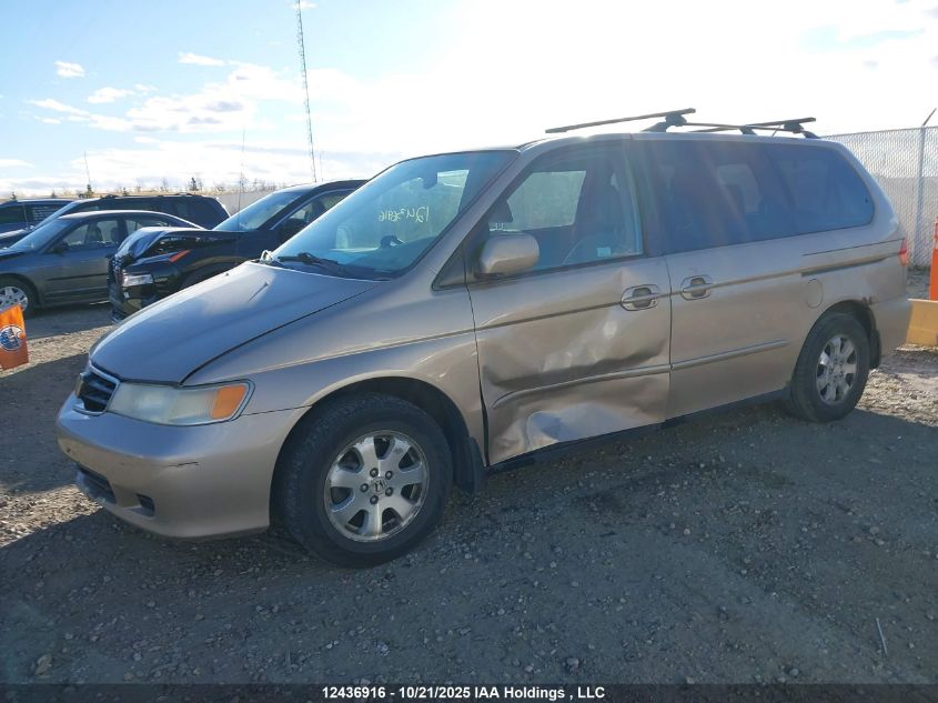 2002 Honda Odyssey Ex VIN: 2HKRL18652H010980 Lot: 12436916