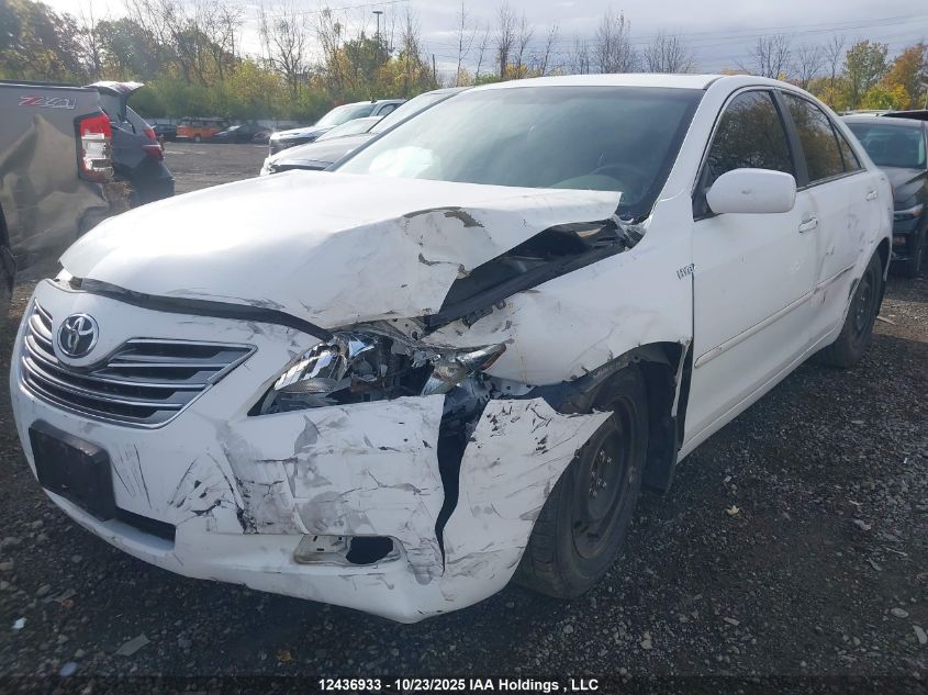 2009 Toyota Camry Hybrid VIN: 4T1BB46K69U105338 Lot: 12436933