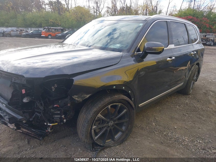 5XYP5DGC5PG360666 2023 KIA TELLURIDE photo no. 14