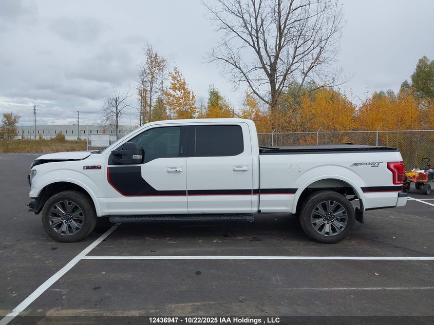 1FTFW1EF4GFC68889 2016 FORD F-150 photo no. 14
