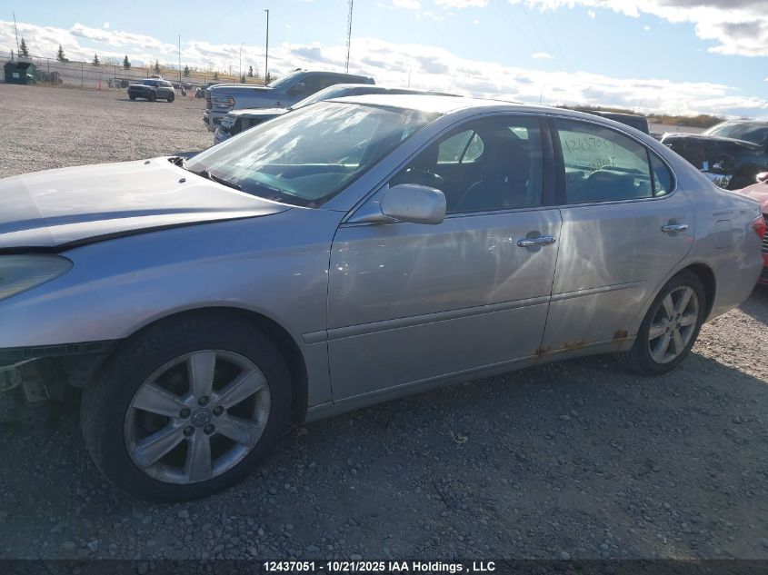 2005 Lexus Es 330 VIN: JTHBA30G455075281 Lot: 12437051