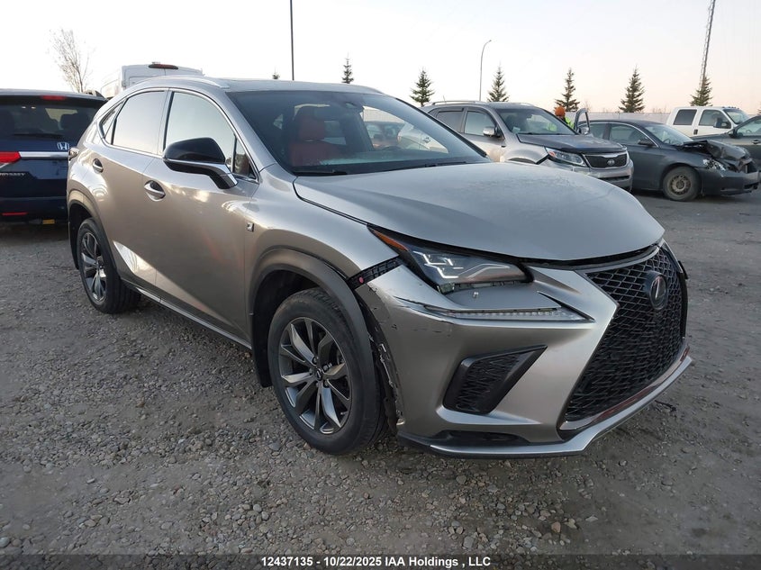 JTJSARDZ6M2249025 2021 Lexus Nx 300 auction photo 1